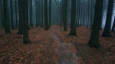 Vista-En-Primera-Persona-Explorando-Un-Bosque-Oscuro-Y-Espeluznante-Con-árboles-Y-Hojas-De-Otoño