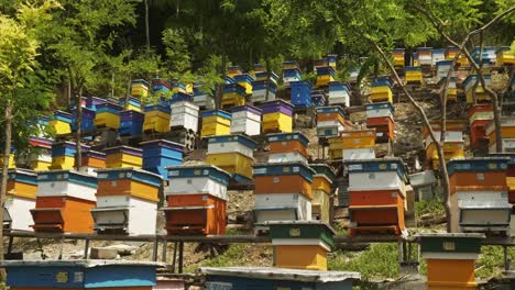 lift reveal shows colourful bulgarian beehives on terraced apiculture farm