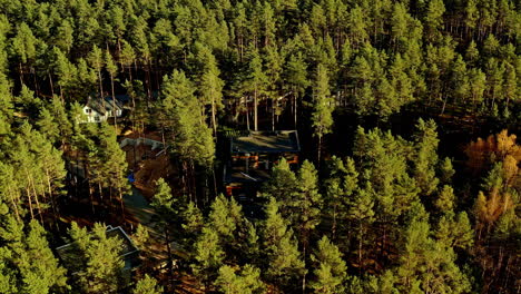 aerial of white and green resort buildings in a forest