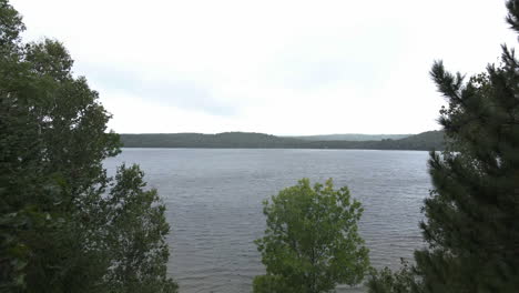 Drone-fly-through-thick-pine-trees-over-calm-peaceful-serene-lake-on-cloudy-day