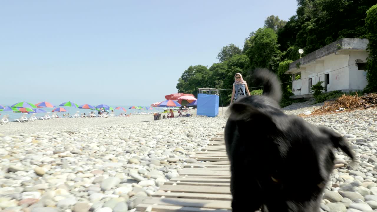 바투미, 조지아 해변에서 재미있는 작은 개와 함께 산책하는 소녀