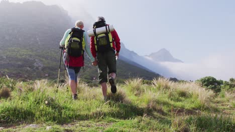 rear view of senior hiker couple with backpacks and hiking poles holding hands