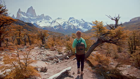 female trekker discovering el chalten national park, patagonia, argentina.back shot explorer enjoying the view of mount fitz roy.autumn colorful orange foliage vegetation