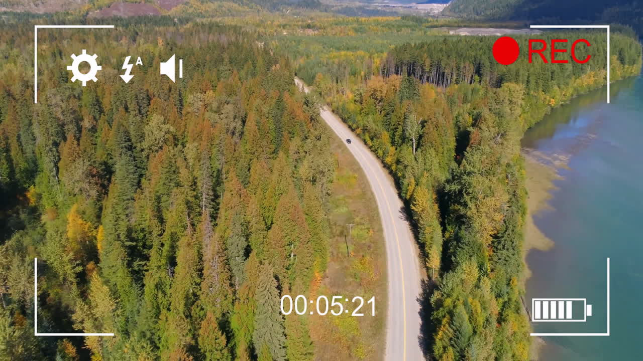 카메라 녹화 애니메이션과 함께 숲을 가로질러 휘어지는 도로의 공중 시각