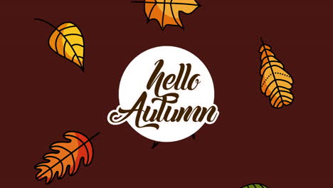 hello autumn season with calligraphy and leafs animation