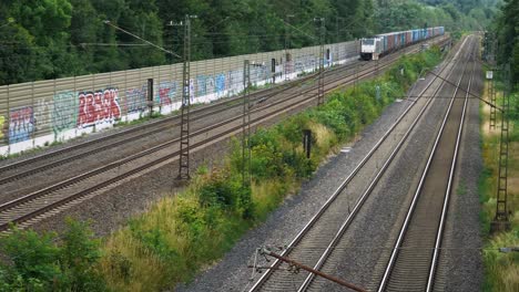 se acerca un gran tren con un envío completo de contenedores de envío azules y marrones