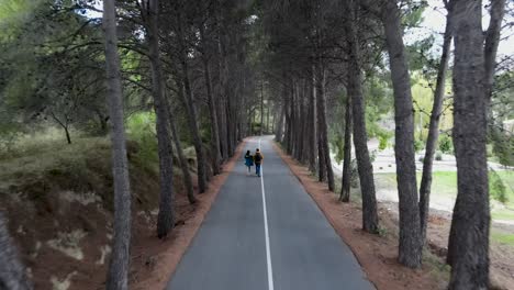 couple walking down a tree-lined path