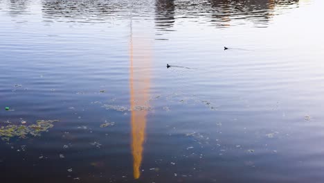 pristine lake water reflection of water fountain at evening