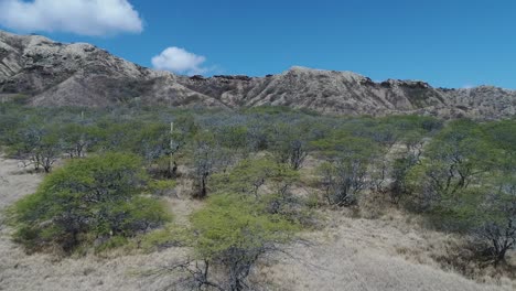 flying towards natural landscape, forested field, mountain range background, hawaii