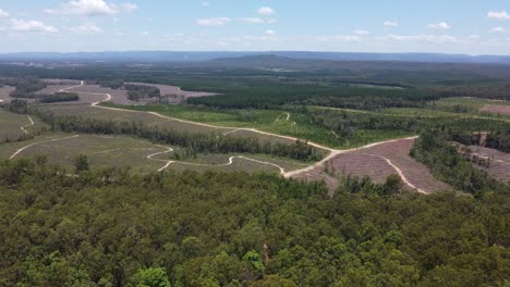 Drone-descending-into-a-forest-with-fields-and-mountains-in-the-background