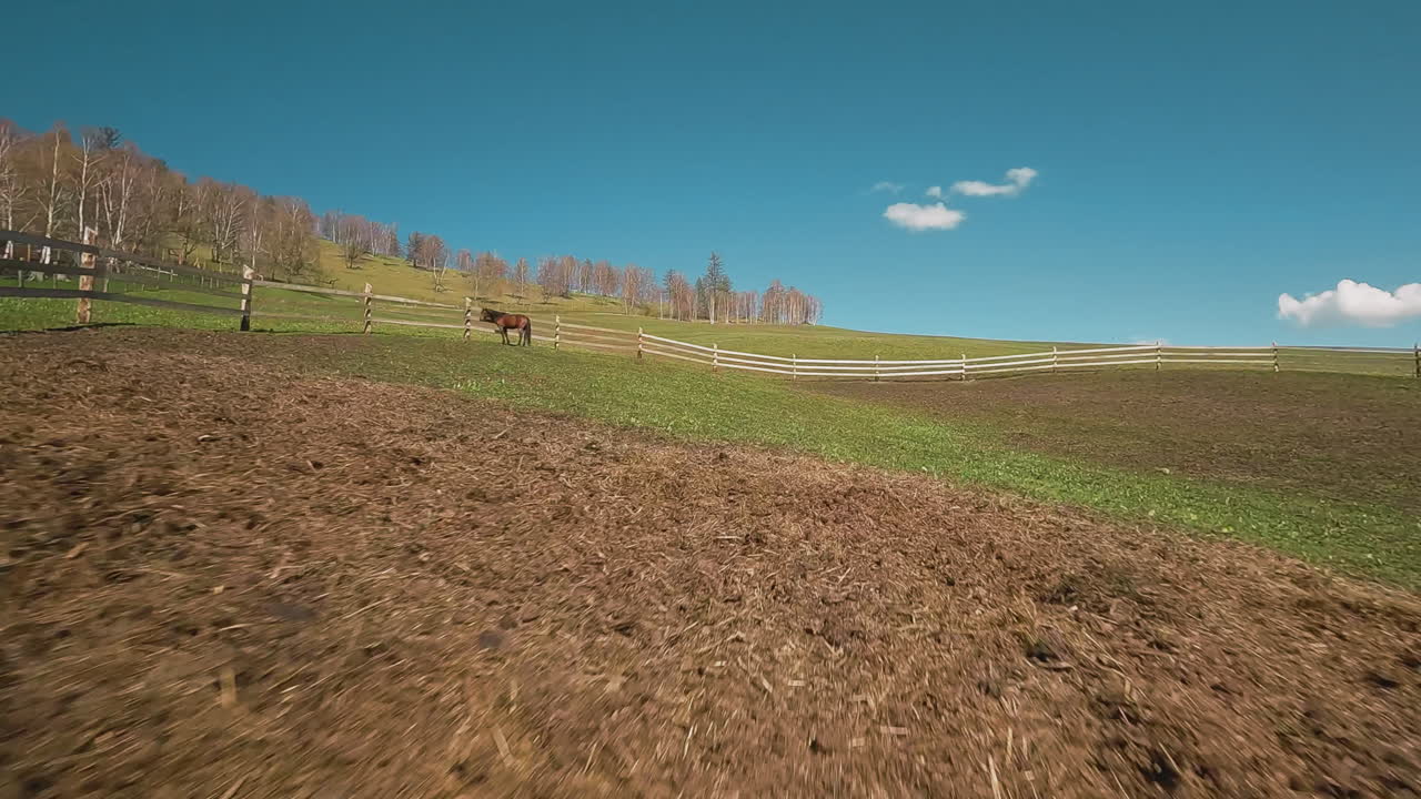 un amplio corral con una valla de tabla y un caballo de bahía solitario