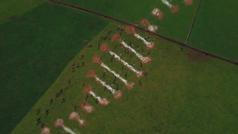 animación de la cadena de adn sobre el paisaje