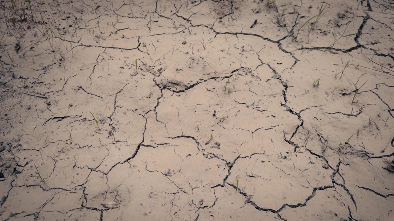 Siccità estrema e terreno screpolato durante un disastro ecologico. Impatto del riscaldamento globale su terreni inariditi. Lento movimento su terreno arido.