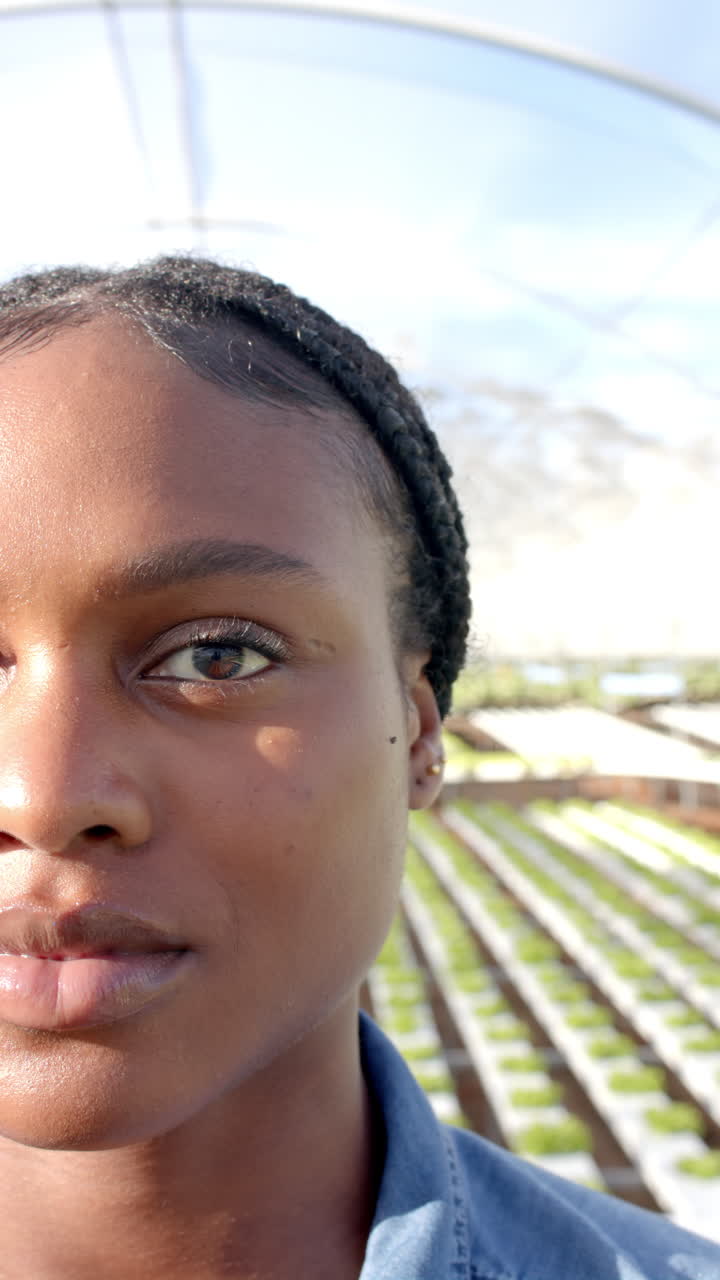 Vertical video: Showcasing sustainable agriculture, woman at hydroponic farm, focusing on plants