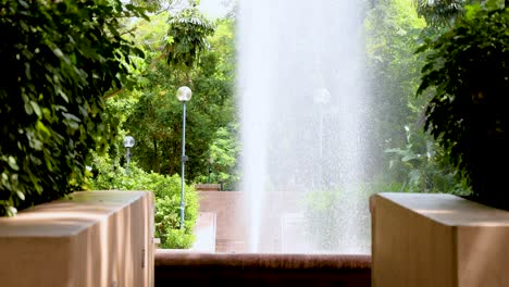 water fountain amidst lush greenery in park