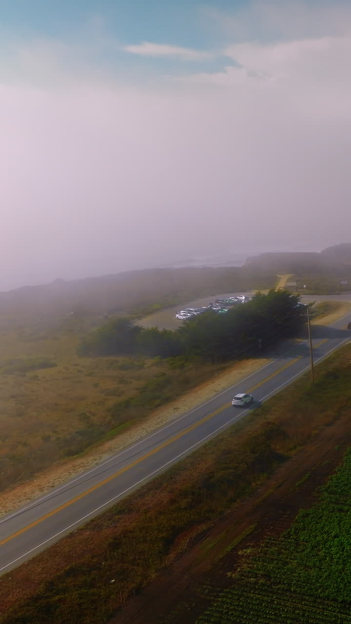 Thick fog spreading on the road and meadow from water. Cars go by the road on sunny but foggy daytime. Top view. Vertical video