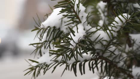 snowy day in new jersey suburbs