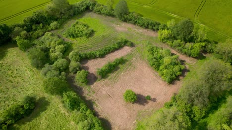 vibrant green countryside landscape and fields, aerial drone view