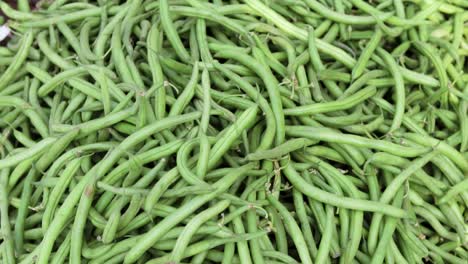 fresh organic green beans from farm close up from different angle