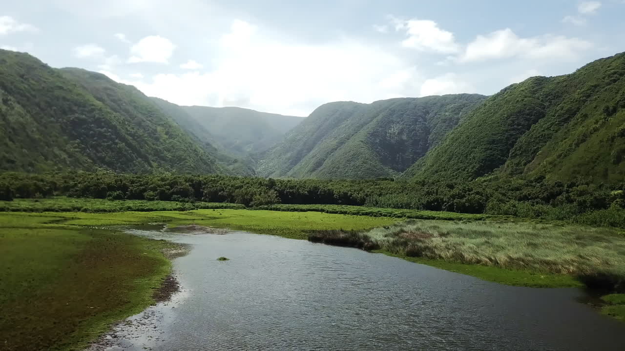 antena baja de arroyo y verdes colinas boscosas en el valle de pololu, hawaii