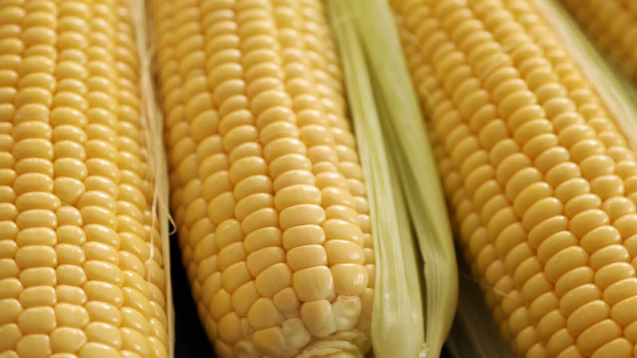 Raw Half Peeled Sweet Corn Cob Rotating 2