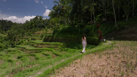 Lady-influencer-tourist-walks-on-edge-of-rice-paddy-in-lush-Tegalalang-terraces