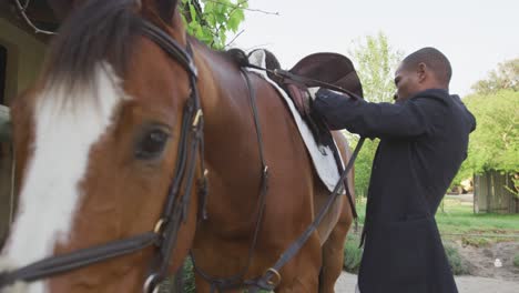 Hombre-Afroamericano-Instalando-La-Silla-De-Montar-Del-Caballo