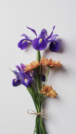 vvertical video of bunch of yellow and purple flowers with copy space on white background