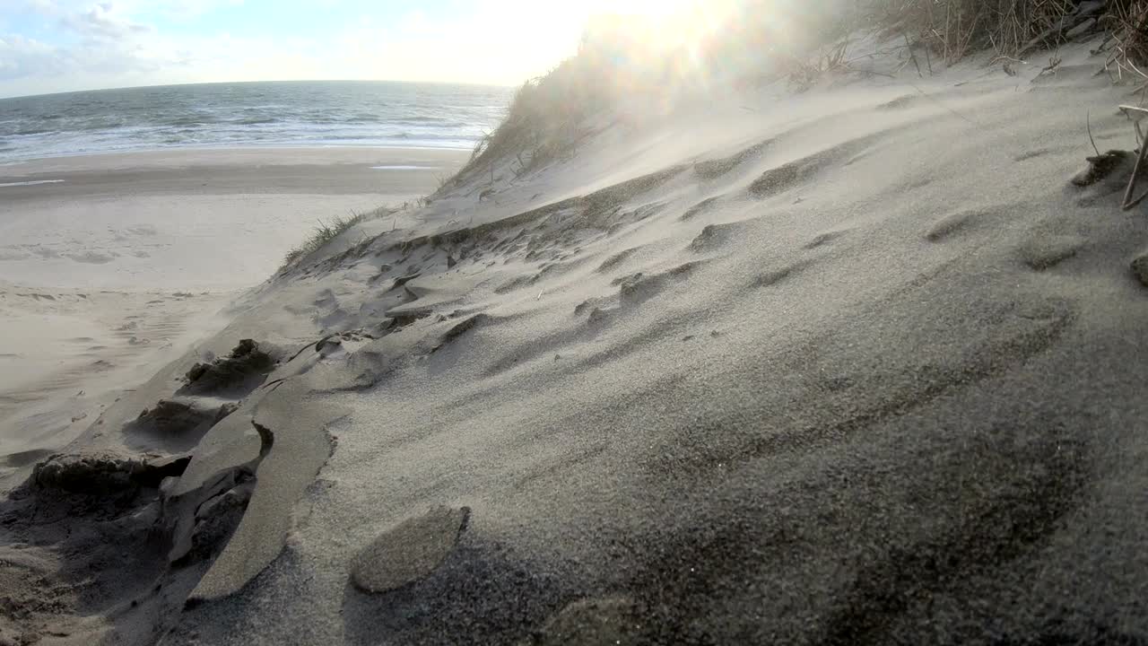 песчаные дюны с дюновой травой в шторме северного моря, пешеходные дюны, защита дамб, сондервиг, ютландия, дания, 4к