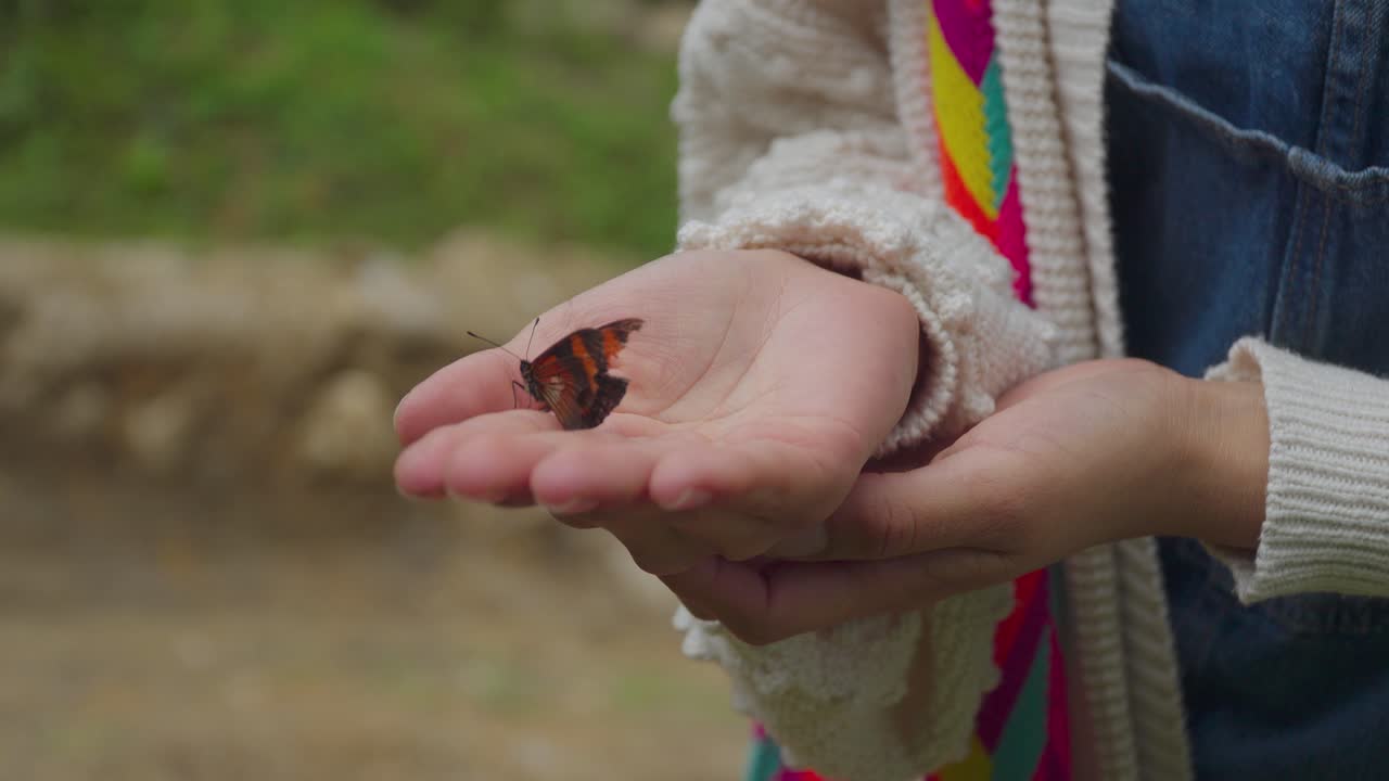 mariposa extendiendo sus alas, descansando en la palma de una mano en la naturaleza,