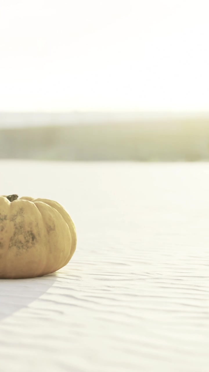 Zucca su sabbia bianca sotto la luce solare intensa in un luogo all'aperto di giorno.