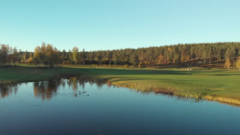 Flying-over-a-small-calm-lake-with-ducks-next-to-a-beautiful-green-golf-course