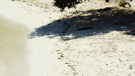 the ocean waves gently lap the sandy beach of tanjung aan beach near kuta, lombok island, indonesia