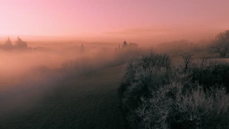 soft pink and purple hues, tranquil fog layers