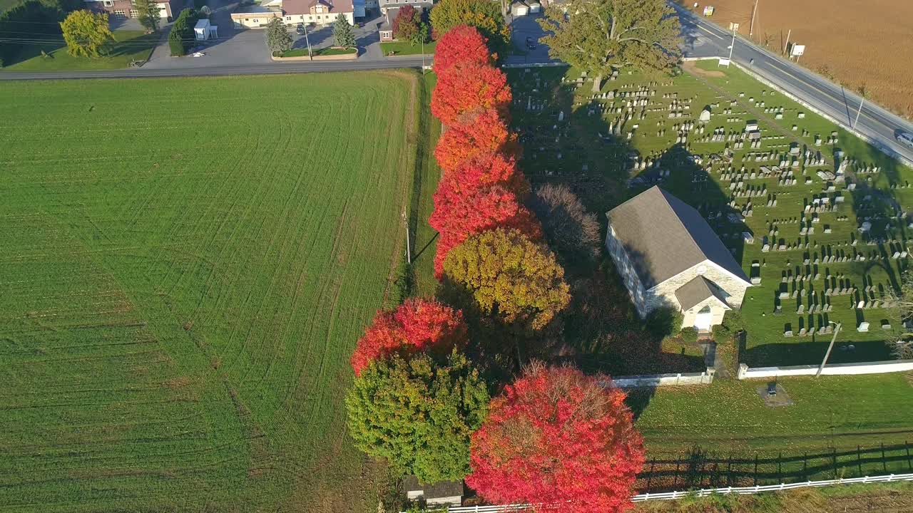 una vista de drones de una fila de árboles de otoño, con hojas de color naranja y rojo brillantes que miran hacia las tierras de cultivo en una mañana soleada y brillante