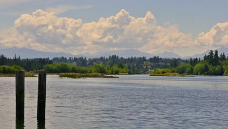 pacific northwest paradise: embracing the beauty of campbell river