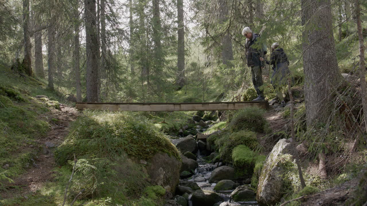 Older couple walk across a narrow wooden bridge in a mossy pine forest over a stream. Hiking in the forest. The man is helping the woman keep her balance.