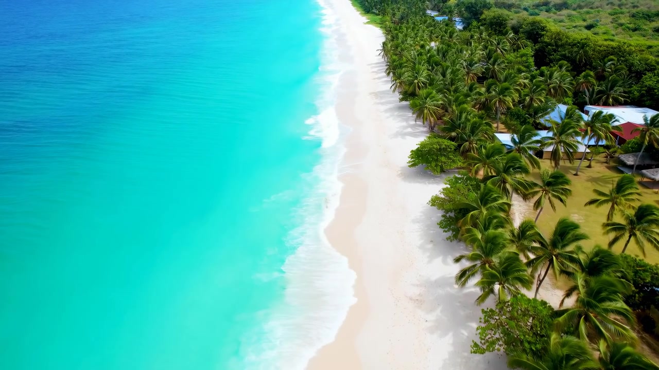 La vista si estende sopra una costa luminosa, rivelando acqua cristallina e azzurra e onde spumeggianti accanto a sabbia chiara, palme fitte, aree verdi e tetti sparsi vicino alla spiaggia.