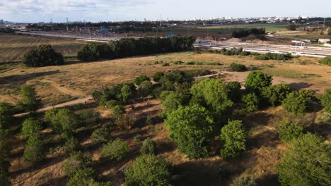 Eine-Drohne,-Die-über-Einen-Park-Schwenkt-Und-über-Die-Hauptstraße-Und-Die-Umliegenden-Felder-Blickt