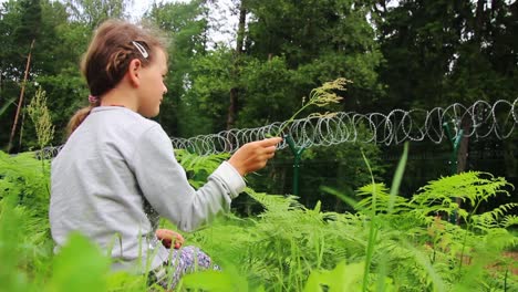 una niña pequeña se sienta en los helechos frente a la cerca de púas