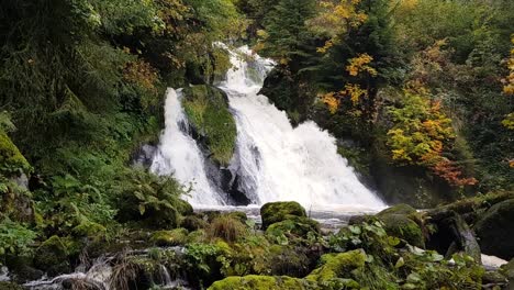 static wide shot of triberg waterfall during beautiful fall season day schwarzwald, germany
