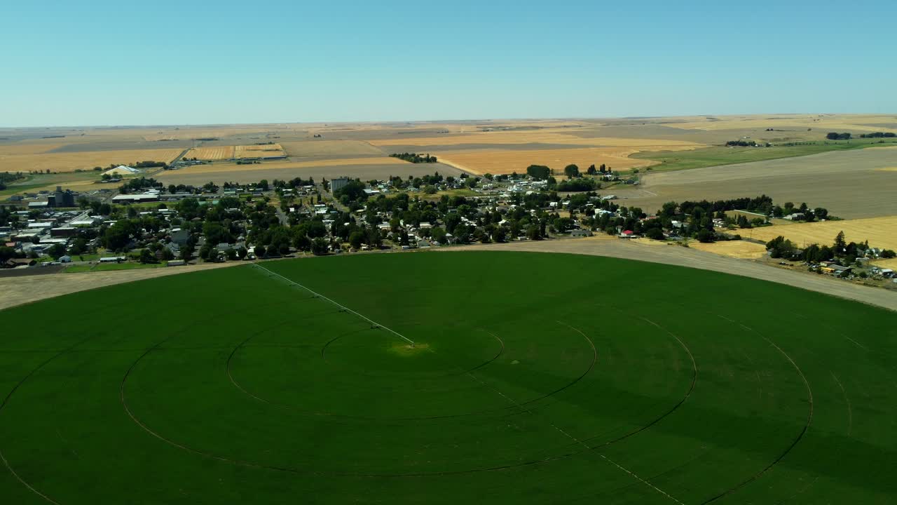 US, OR, Athena, 2025-08-20 - Drone view of a green center pivot irrigation field right next to the small town. In summer, with more farmland in the distance