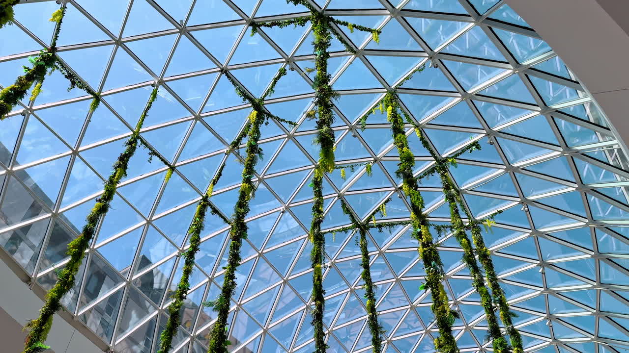 Green lianas hang from the glass ceiling of the building. Combination of nature and modern architecture in design. Low angle view