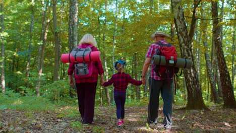 Active-senior-grandmother-grandfather-tourists-walking-hiking-with-granddaughter-in-summer-wood