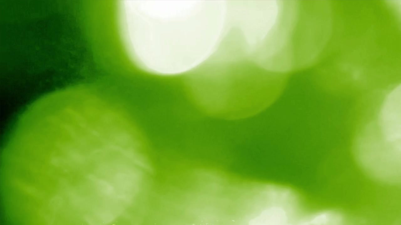 Abstrakte grønne lyslekkasjer og bokeh-overlegg
