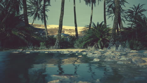 escena colorida con una palmera sobre un pequeño estanque en un oasis del desierto