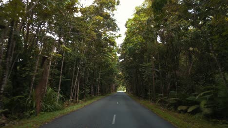 Punto-De-Vista-De-Pov-Conduciendo-Un-Automóvil-En-La-Selva-Tropical-A-Lo-Largo-De-Una-Calle-Rural-En-4k-Uhd