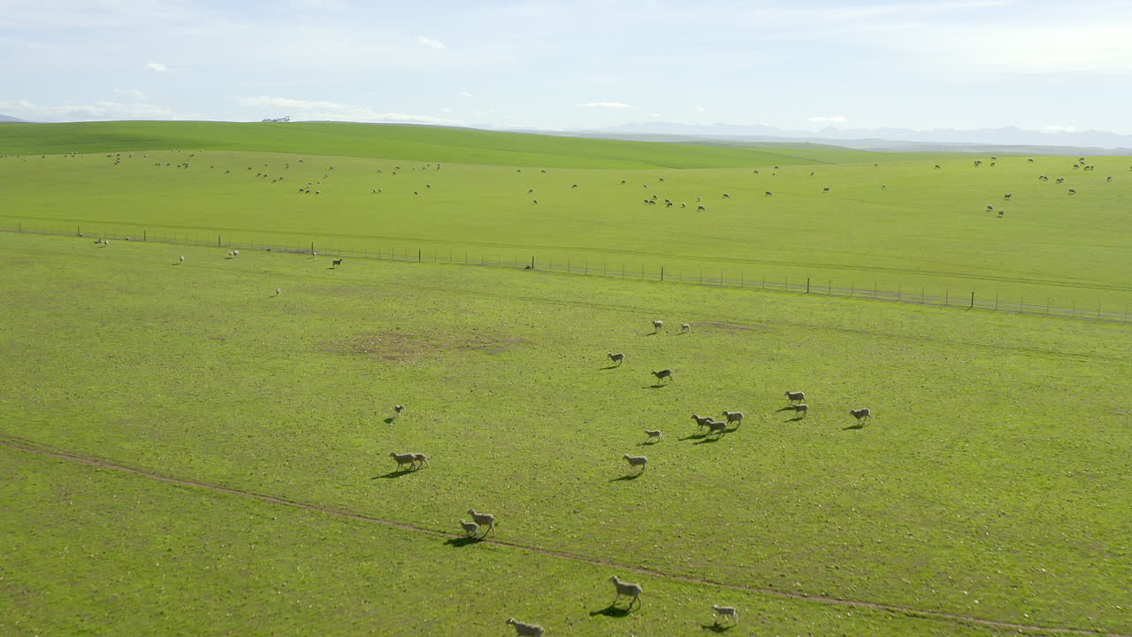 It's nature's world and we're all living in it