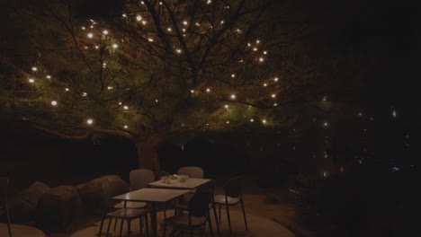 Vista-Panorámica-De-Un-árbol-Con-Luces-Brillantes-Con-Cena-Al-Aire-Libre