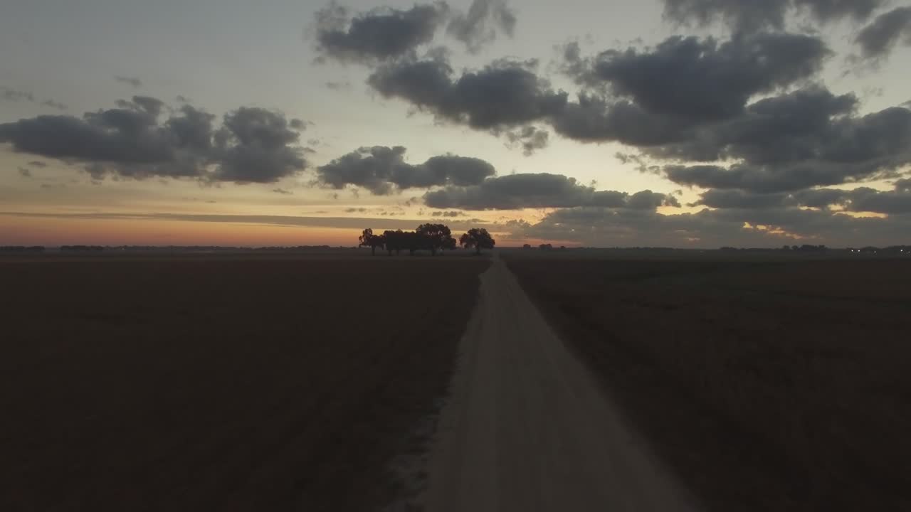 volando sobre el campo de hierba y el camino de tierra hacia un grupo de árboles en la granja del sur al amanecer